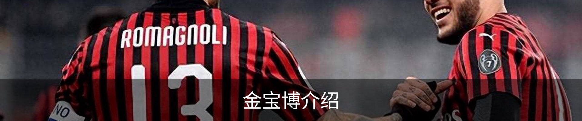 金宝博介绍